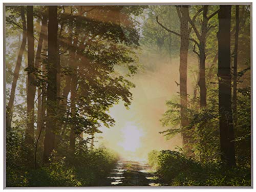 Dekoratives Bild 60x80 cm, Wald von Paperflow