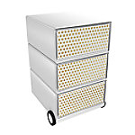 PAPERFLOW Rollcontainer easyBox 4 horizontale Schubladen 642x390x436mm PERSO HOLLYWOOD PAPERFLOW Rollcontainer easyBox 4 horizontale Schubladen 642x390x436mm PERSO HOLLYWOOD von Paperflow