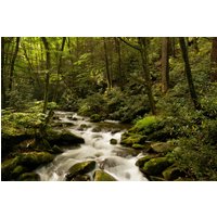 Papermoon Fototapete "BACH IM WALD-BÄUME FLUSS SEE STEINE BLUMEN BERGE SONNE" von Papermoon