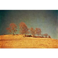 Papermoon Fototapete "BÄUME-VINTAGE NATUR LANDSCHAFT HERBST WALD WANDBILD XXL" Papermoon Fototapete "BÄUME-VINTAGE NATUR LANDSCHAFT HERBST WALD WANDBILD XXL" von Papermoon