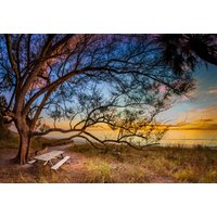 Papermoon Fototapete "BAUM AM STRAND-MEER OZEAN BLUMEN SONNE WIESE FLORIDA" von Papermoon