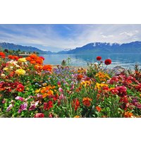 Papermoon Fototapete "BLUMEN-DESIGN NATUR LANDSCHAFT GEBIRGE BERGE ALPEN SEE" von Papermoon