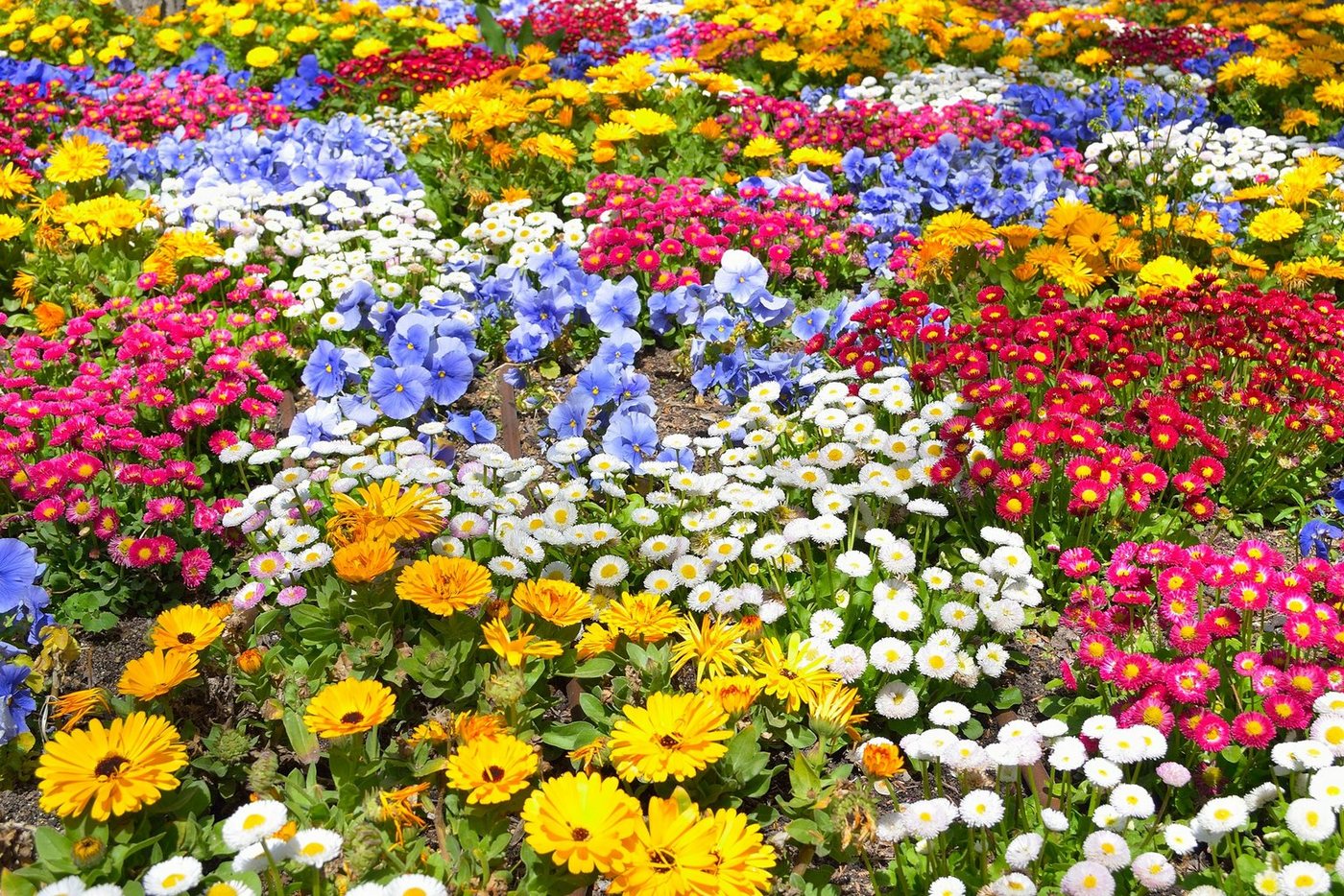 Papermoon Fototapete BLUMEN-GARTEN-WIESE PFLANZE JASMIN BLÜTEN BUNT ORCHIDEE von Papermoon