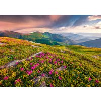 Papermoon Fototapete "BLUMEN-NATUR LANDSCHAFT BERGE GEBIRGE ALPEN LAVENDEL" von Papermoon