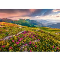 Papermoon Fototapete "BLUMEN-NATUR LANDSCHAFT BERGE GEBIRGE ALPEN LAVENDEL" Papermoon Fototapete "BLUMEN-NATUR LANDSCHAFT BERGE GEBIRGE ALPEN LAVENDEL" von Papermoon