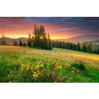 Papermoon Fototapete "BLUMEN-WIESE-GEBIRGE NATUR NEBEL GRÜN SONNE BERG HIMMEL" von Papermoon