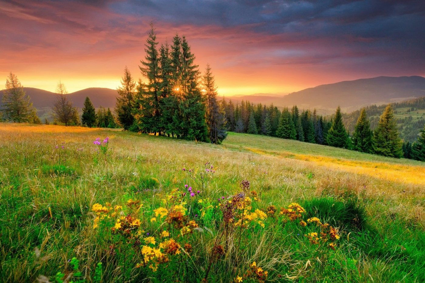 Papermoon Fototapete BLUMEN-WIESE-GEBIRGE NATUR NEBEL GRÜN SONNE BERG HIMMEL von Papermoon