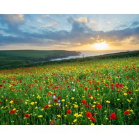 Papermoon Fototapete "BLUMEN-WIESE-MOHN FELD CORNWALL MEER KÜSTE SONNE WOLKEN" von Papermoon