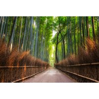 Papermoon Fototapete "Bamboo Grove of Kyoto" von Papermoon
