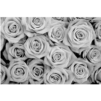 Papermoon Fototapete "Blumen Schwarz & Weiß" von Papermoon