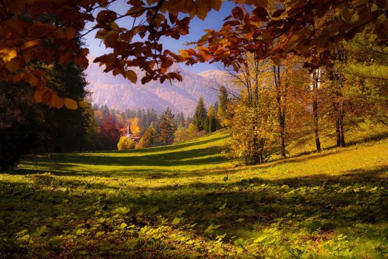 Papermoon Fototapete Boot im See von Papermoon