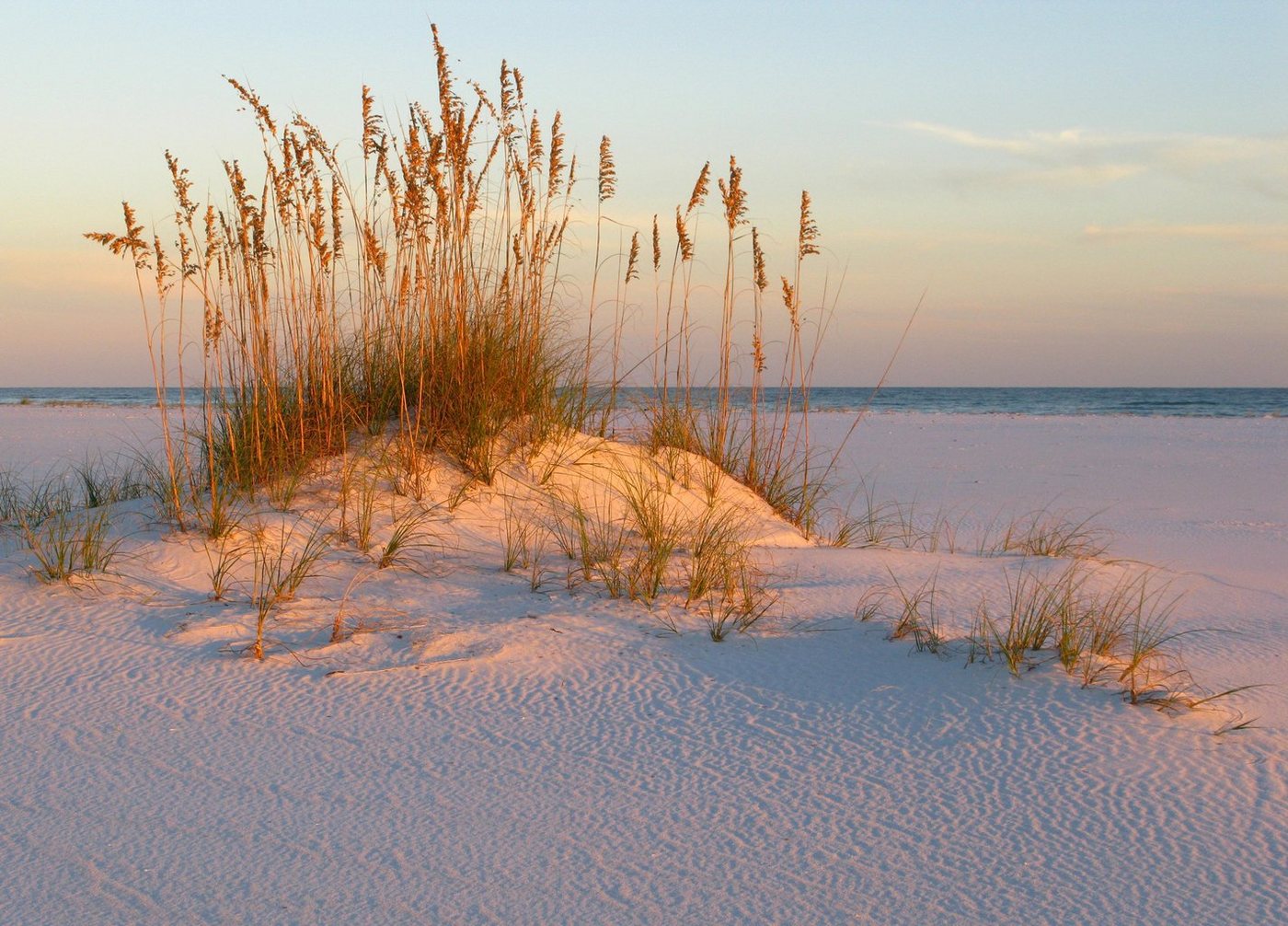 Papermoon Fototapete DÜNEN- MEER SEE KÜSTE NORDSEE OSTSEE STRAND SYLT GRAS Papermoon Fototapete DÜNEN- MEER SEE KÜSTE NORDSEE OSTSEE STRAND SYLT GRAS von Papermoon