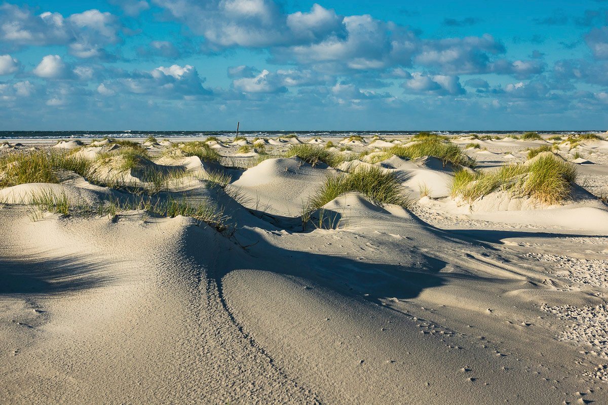 Papermoon Fototapete DÜNEN-NATUR NORD SEE SAND STRAND MEER WÜSTE LANDSCHAFT von Papermoon