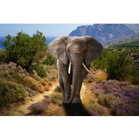 Papermoon Fototapete "ELEFANT-NATUR AFRIKA SAFARI TIERE ELEFANTEN LANDSCHAFT" von Papermoon