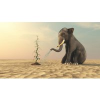 Papermoon Fototapete "Elefanten, die Bohnen gießen" von Papermoon