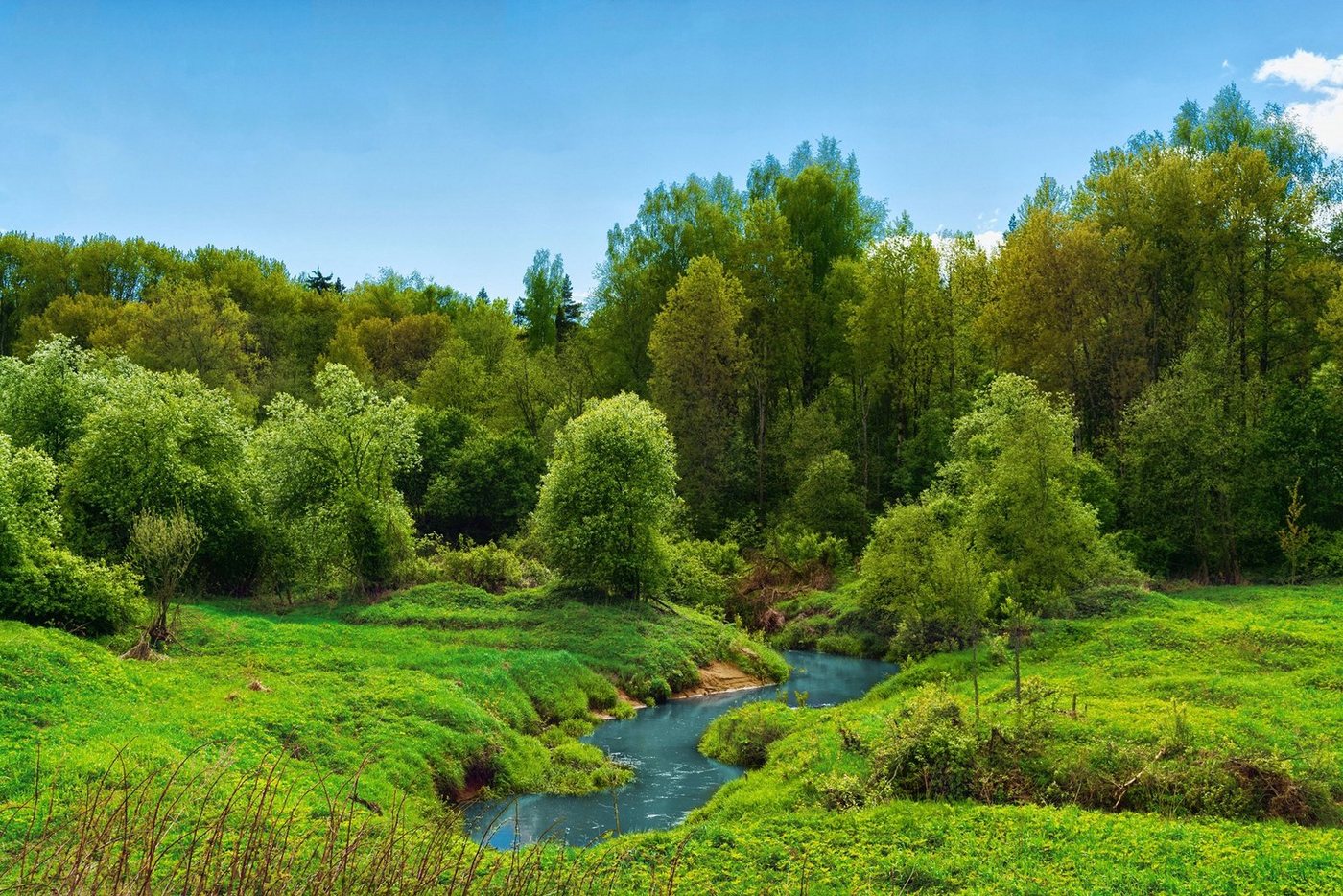 Papermoon Fototapete FLUSS IM WALD-BAUM NATUR DSCHUNGEL SONNE WEG WASSERFALL von Papermoon