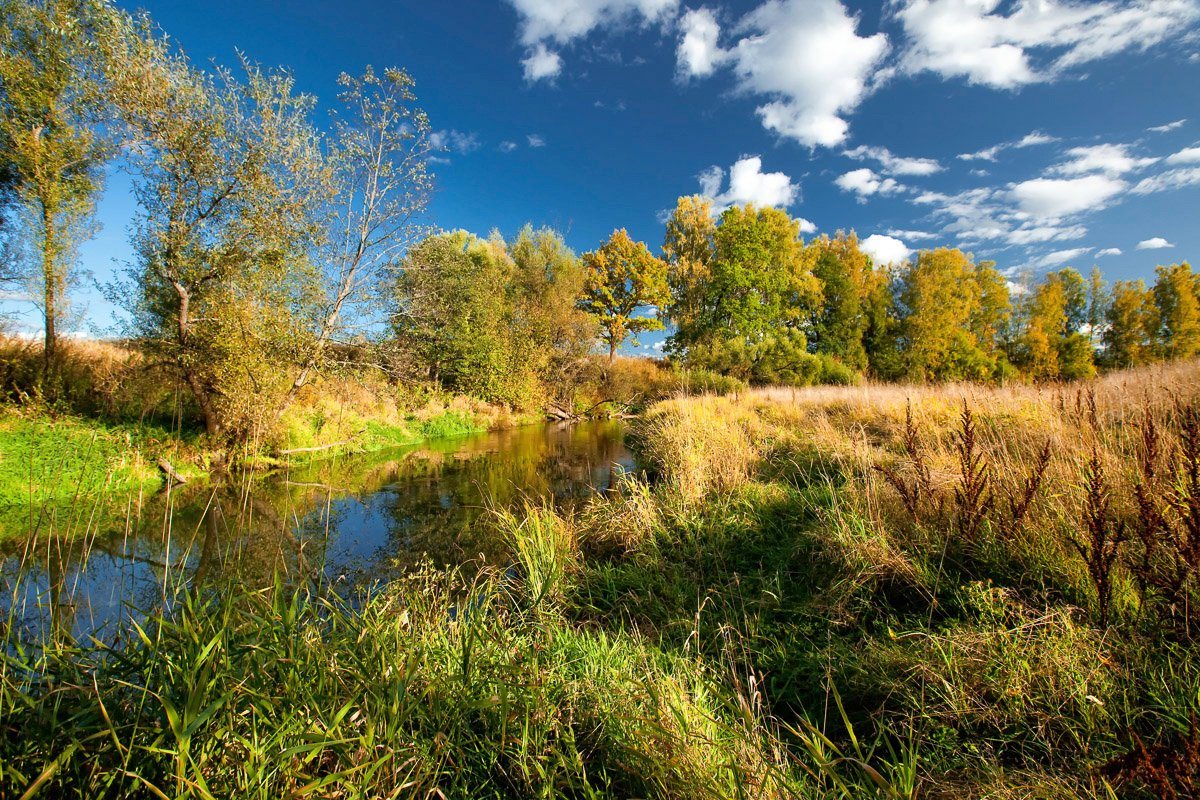 Papermoon Fototapete Fluss durch Feld von Papermoon