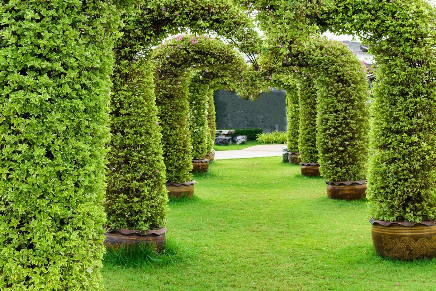 Papermoon Fototapete GARTEN-ALLEE BLUMEN BÄUME PFLANZEN STEINE WALD PERGOLA von Papermoon