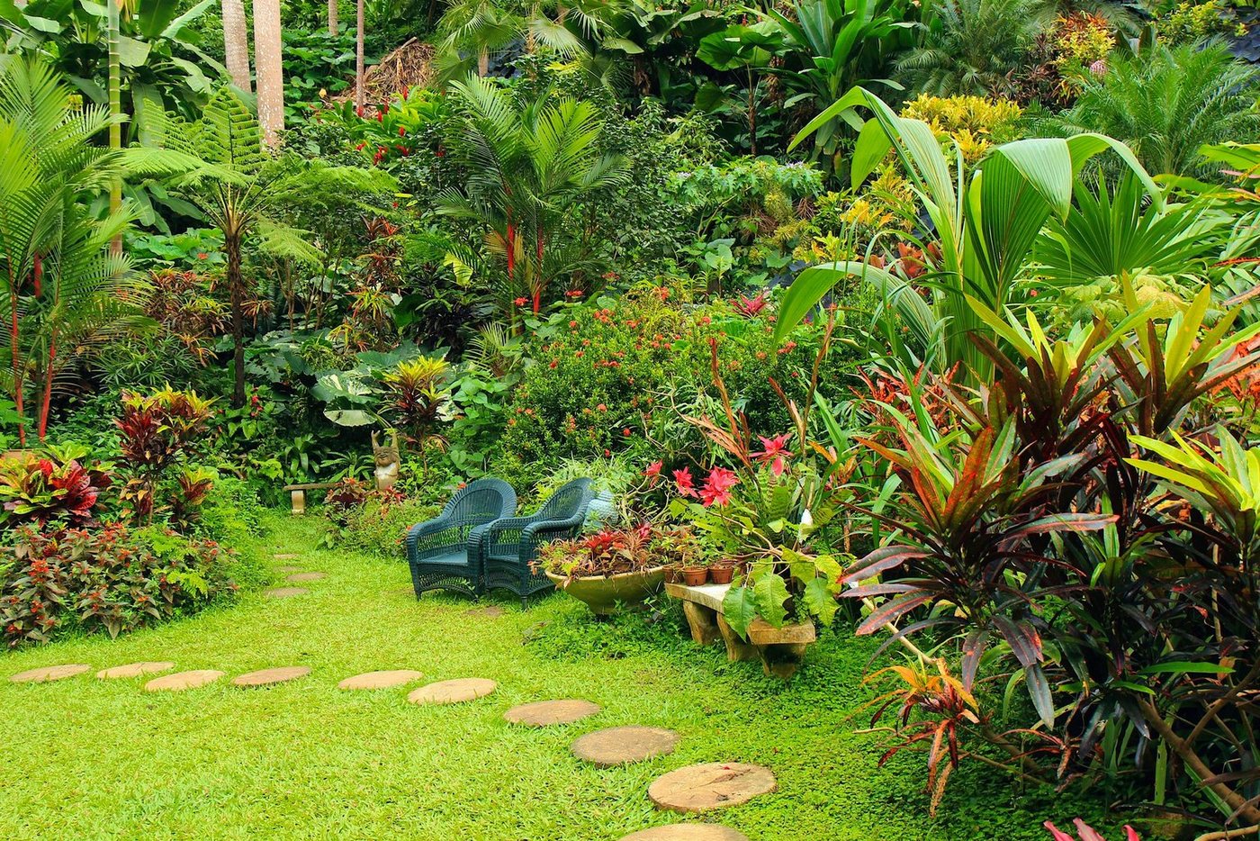 Papermoon Fototapete GARTEN-BLUMEN BÄUME PFLANZEN PARK STEINE WALD BLÜTEN von Papermoon