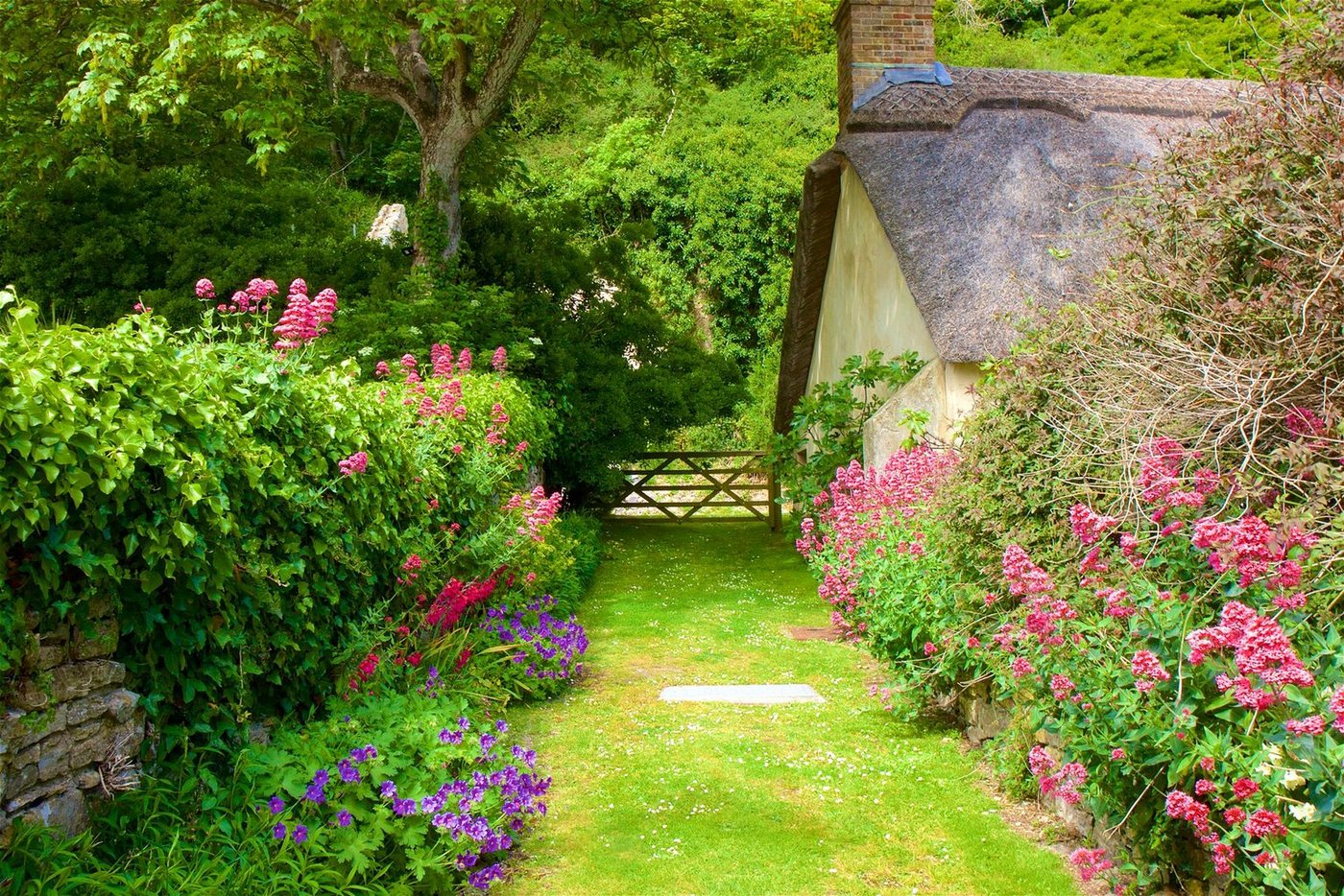 Papermoon Fototapete GARTEN-BLUMEN BÄUME PFLANZEN STEINE WALD PERGOLA BLÜTEN von Papermoon