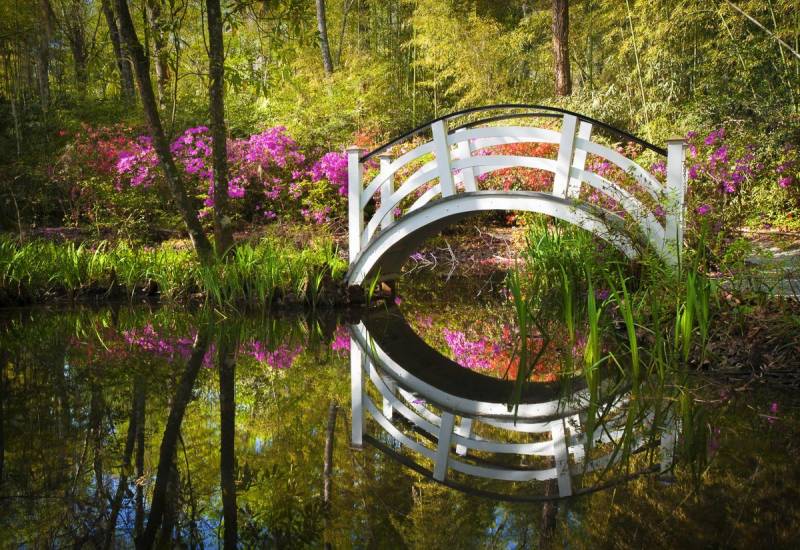 Papermoon Fototapete GARTEN-NATUR LANDSCHAFT WALD BÄUME BLUMEN BRÜCKE SEE von Papermoon