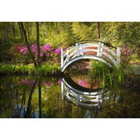 Papermoon Fototapete "GARTEN-NATUR LANDSCHAFT WALD BÄUME BLUMEN BRÜCKE SEE" Papermoon Fototapete "GARTEN-NATUR LANDSCHAFT WALD BÄUME BLUMEN BRÜCKE SEE" von Papermoon