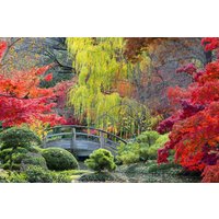 Papermoon Fototapete "GARTEN-NATUR WALD BÄUME HERBSTLANDSCHAFT BLUMEN SEE XXL" von Papermoon