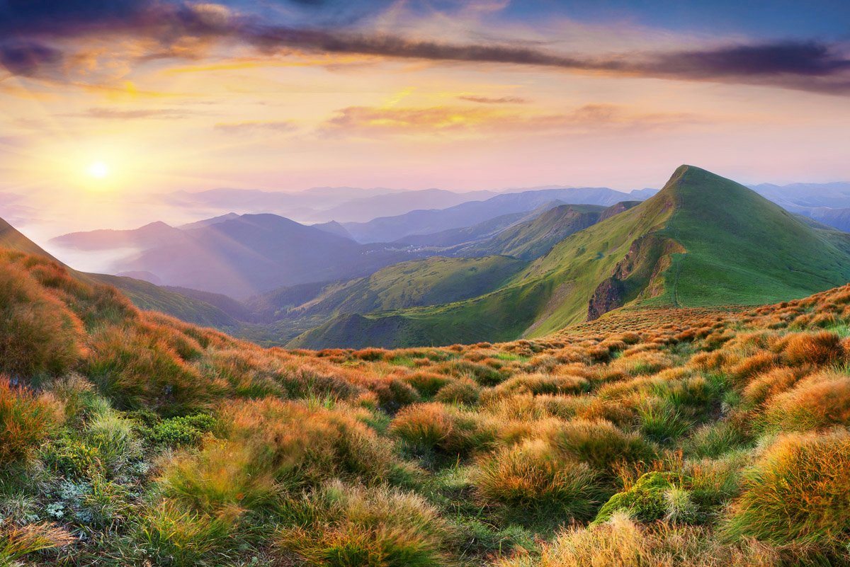 Papermoon Fototapete Garten mit Blumen von Papermoon