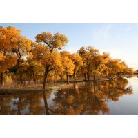 Papermoon Fototapete "HERBST LANDSCHAFT-CHINA SEE WALD BÄUME STRAND SONNE" von Papermoon