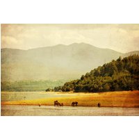 Papermoon Fototapete "LANDSCHAFT-HERBST NATUR BERGE GEBIRGE WALD BÄUME SEE" Papermoon Fototapete "LANDSCHAFT-HERBST NATUR BERGE GEBIRGE WALD BÄUME SEE" von Papermoon