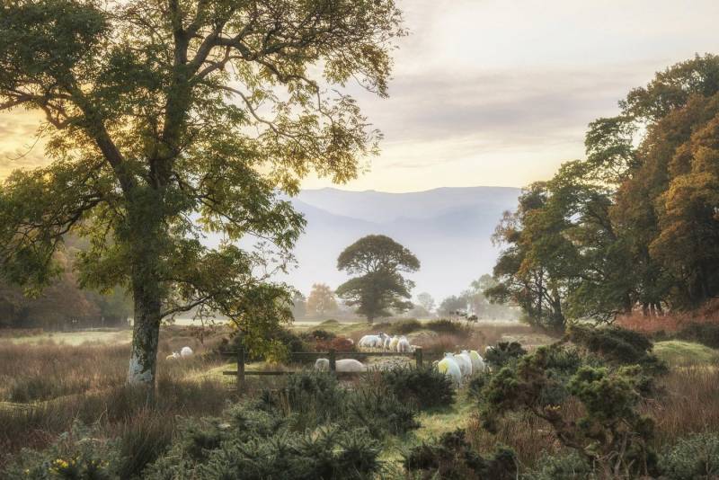 Papermoon Fototapete LANDSCHAFT-NATUR BÄUME BERGE GEBIRGE WALD DSCHUNGEL XXL Papermoon Fototapete LANDSCHAFT-NATUR BÄUME BERGE GEBIRGE WALD DSCHUNGEL XXL von Papermoon