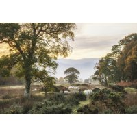 Papermoon Fototapete "LANDSCHAFT-NATUR BÄUME BERGE GEBIRGE WALD DSCHUNGEL XXL" Papermoon Fototapete "LANDSCHAFT-NATUR BÄUME BERGE GEBIRGE WALD DSCHUNGEL XXL" von Papermoon