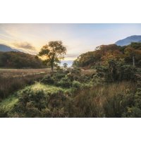 Papermoon Fototapete "LANDSCHAFT-NATUR BÄUME BERGE GEBIRGE WALD DSCHUNGEL XXL" Papermoon Fototapete "LANDSCHAFT-NATUR BÄUME BERGE GEBIRGE WALD DSCHUNGEL XXL" von Papermoon