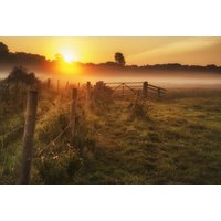 Papermoon Fototapete "LANDSCHAFT-NATUR SONNENUNTERGANG BÄUME WALD NEBEL BAUM" von Papermoon