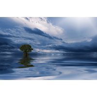 Papermoon Fototapete "MEER WOLKEN-BAUM BEACH STRAND PANORAMA HIMMEL WELLEN" von Papermoon