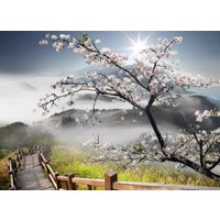 Papermoon Fototapete "ORCHIDEEN-TAPETE NATUR LANDSCHAFT GEBIRGE BERGE BLUMEN" von Papermoon