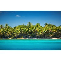 Papermoon Fototapete "PALMEN-NATUR DSCHUNGEL PALME BÄUME MEER BAUM LANDSCHAFT" Papermoon Fototapete "PALMEN-NATUR DSCHUNGEL PALME BÄUME MEER BAUM LANDSCHAFT" von Papermoon