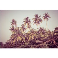 Papermoon Fototapete "PALMEN-NATUR LANDSCHAFT KARIBIK DSCHUNGEL STRAND BÄUME" Papermoon Fototapete "PALMEN-NATUR LANDSCHAFT KARIBIK DSCHUNGEL STRAND BÄUME" von Papermoon