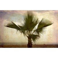 Papermoon Fototapete "PALMEN-NATUR LANDSCHAFT STRAND MEER PALME BÄUME BAUM" Papermoon Fototapete "PALMEN-NATUR LANDSCHAFT STRAND MEER PALME BÄUME BAUM" von Papermoon