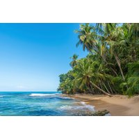 Papermoon Fototapete "PALMEN-NATUR STRAND LANDSCHAFT MEER PALME BÄUME SEE XXL" Papermoon Fototapete "PALMEN-NATUR STRAND LANDSCHAFT MEER PALME BÄUME SEE XXL" von Papermoon