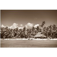 Papermoon Fototapete "PALMEN-SCHWARZ WEIßWANDBILD PALME NATUR BÄUME MEER SEE" Papermoon Fototapete "PALMEN-SCHWARZ WEIßWANDBILD PALME NATUR BÄUME MEER SEE" von Papermoon
