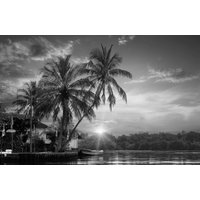 Papermoon Fototapete "PALMEN-STRAND-BEACH DSCHUNGEL MEER SEE KARIBIK SÜDSEE" Papermoon Fototapete "PALMEN-STRAND-BEACH DSCHUNGEL MEER SEE KARIBIK SÜDSEE" von Papermoon