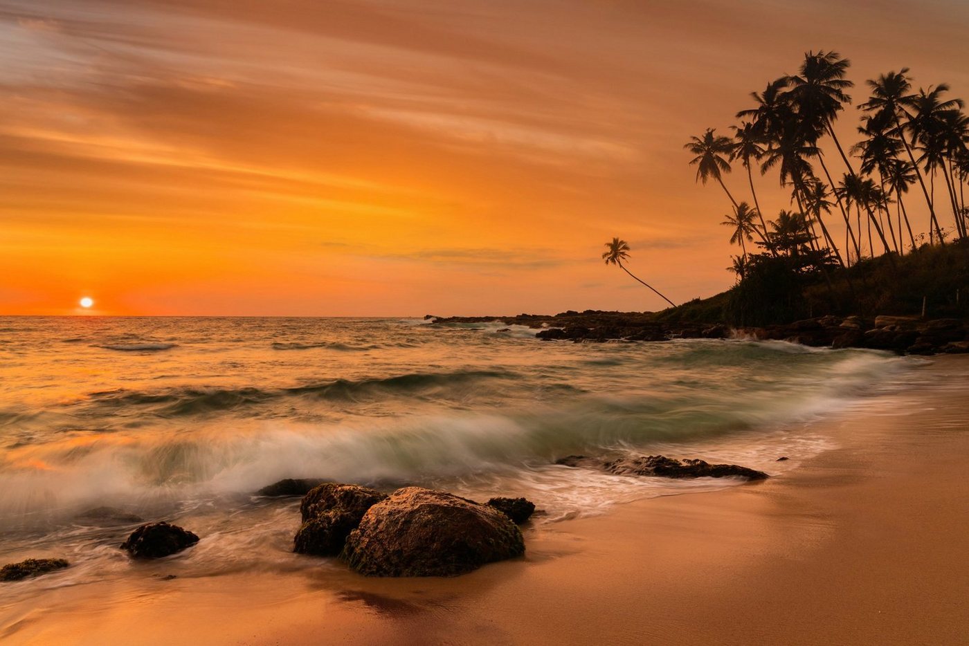 Papermoon Fototapete PALMEN-STRAND-KARIBIK SÜDSEE MEER DÜNEN SONNE OZEAN XXL von Papermoon