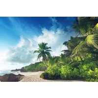 Papermoon Fototapete "PALMEN-STRAND-SEYCHELLEN TROPISCH INSEL AFRIKA KÜSTE" Papermoon Fototapete "PALMEN-STRAND-SEYCHELLEN TROPISCH INSEL AFRIKA KÜSTE" von Papermoon