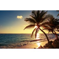 Papermoon Fototapete "PALMEN-STRAND SONNENUNTERGANG NATUR MEER LANDSCHAFT XXL" Papermoon Fototapete "PALMEN-STRAND SONNENUNTERGANG NATUR MEER LANDSCHAFT XXL" von Papermoon