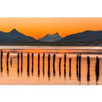 Papermoon Fototapete "PUERTO NATALES-CHILE SEE GEBIRGE BLUMEN SONNE WALD STEG" von Papermoon