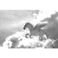 Papermoon Fototapete "Pegasus Schwarz & Weiß" von Papermoon