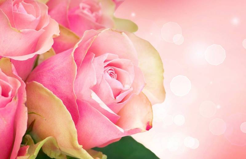 Papermoon Fototapete ROSEN-BLUMEN ART DESIGN ABSTRAKT MUSTER DECOR KUNST von Papermoon