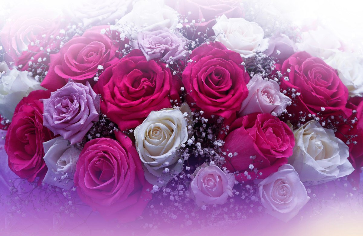 Papermoon Fototapete ROSEN-BLUMEN FANTASIE ABSTRAKT KUNST TEXTUR DESIGN ART von Papermoon