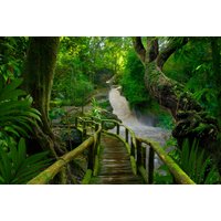 Papermoon Fototapete "TROPISCHER WALD-BAUM DSCHUNGEL SONNE WEG WASSERFALL" von Papermoon